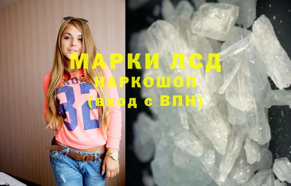 прущие грибы Вуктыл